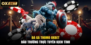 Đá Gà Thomo OXBET - Đấu Trường Trực Tuyến Kịch Tính