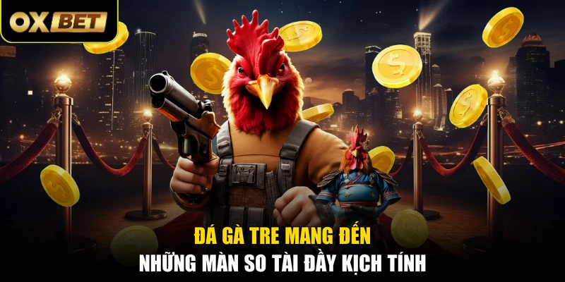 Đá gà tre mang đến những màn so tài đầy kịch tính
