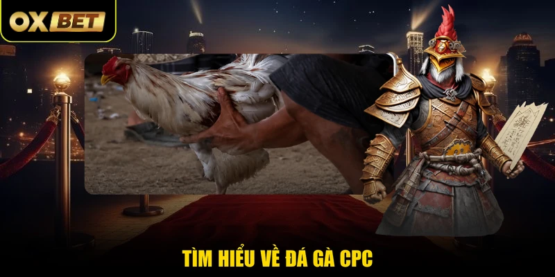 Tìm hiểu về đá gà CPC