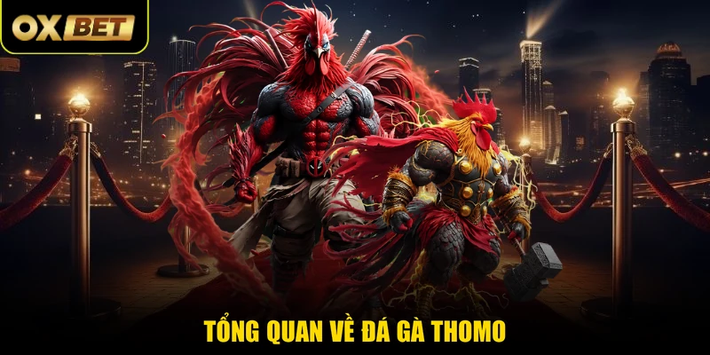 Tổng quan về đá gà Thomo