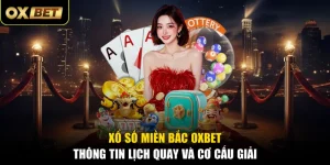 Xổ Số Miền Bắc OXBET - Thông Tin Lịch Quay Và Cơ Cấu Giải